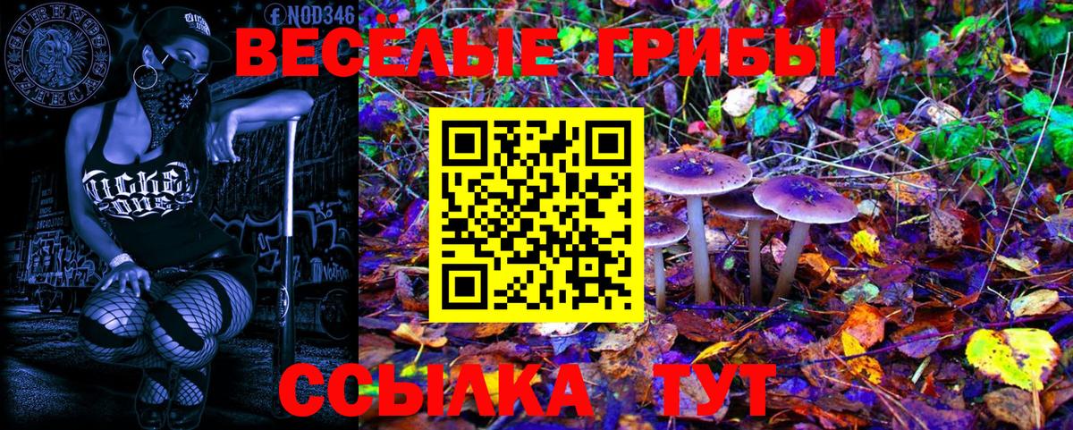 Псилоцибиновые грибы прущие грибы Кисловодск