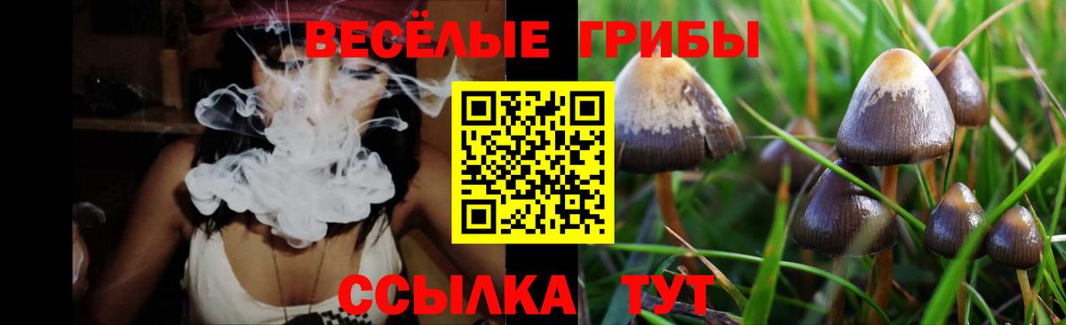 Псилоцибиновые грибы мухоморы  Вход с VPN  что такое   Кисловодск 